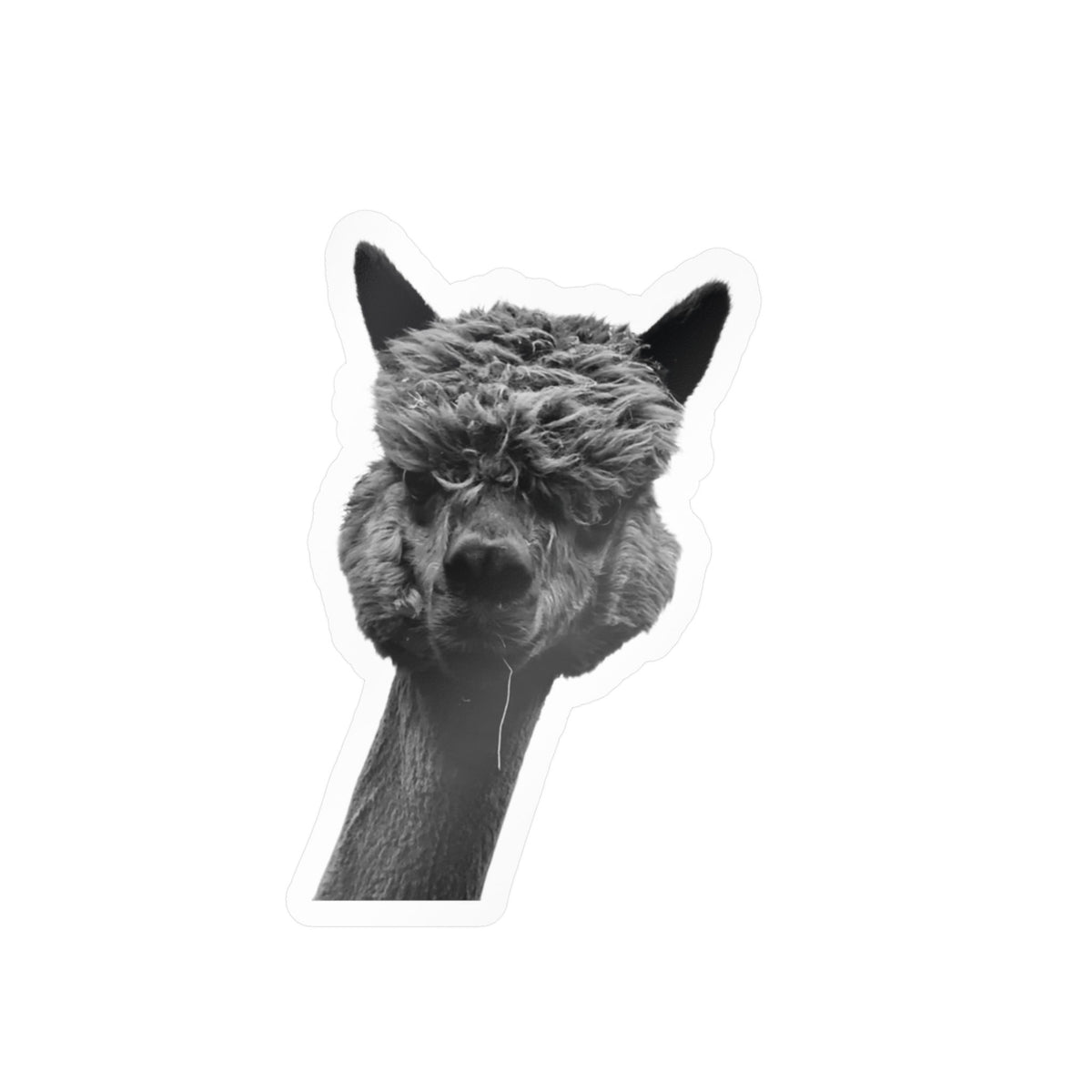 Alpaca Head Kiss-Cut Vinyl Decal – Black & White Funny Llama Sticker for Laptops, Water Bottles & Car Windows