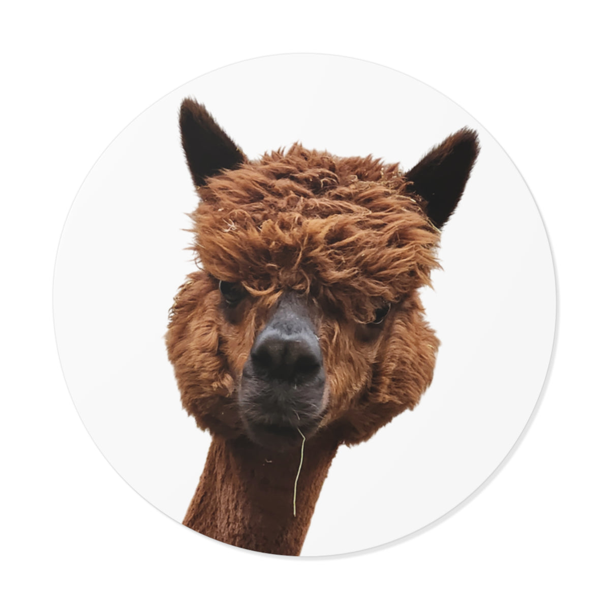Brown Alpaca Face Round Vinyl Sticker – Cute Llama/Alpaca Decal for Laptops, Water Bottles, Journals
