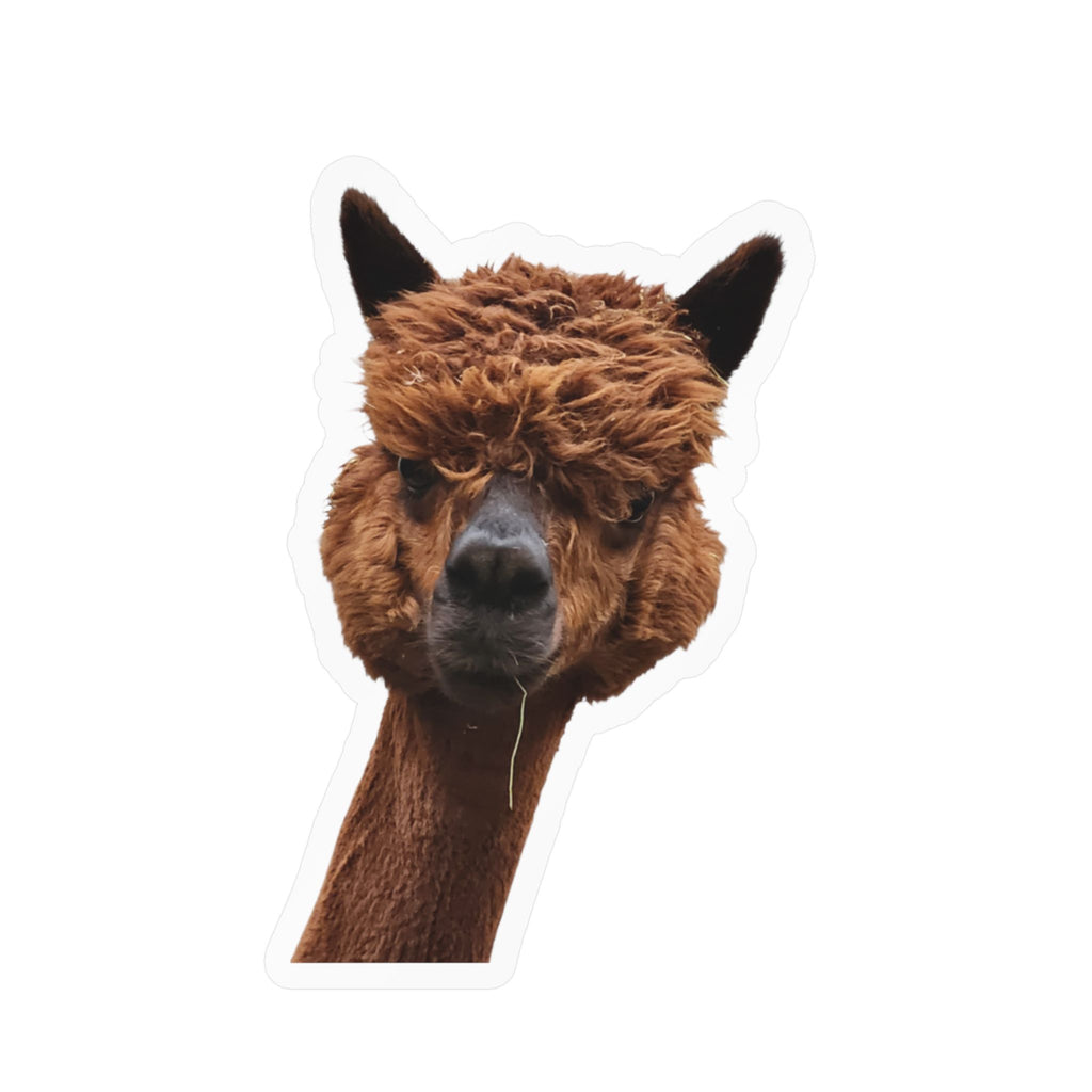 Alpaca Head Kiss-Cut Vinyl Sticker — Cute Funny Llama Decal for Laptop, Water Bottle & Car