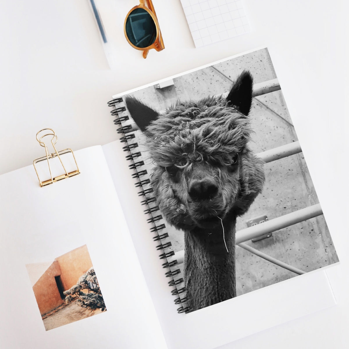 Alpaca Portrait Spiral Notebook — Black & White Cute Animal Journal