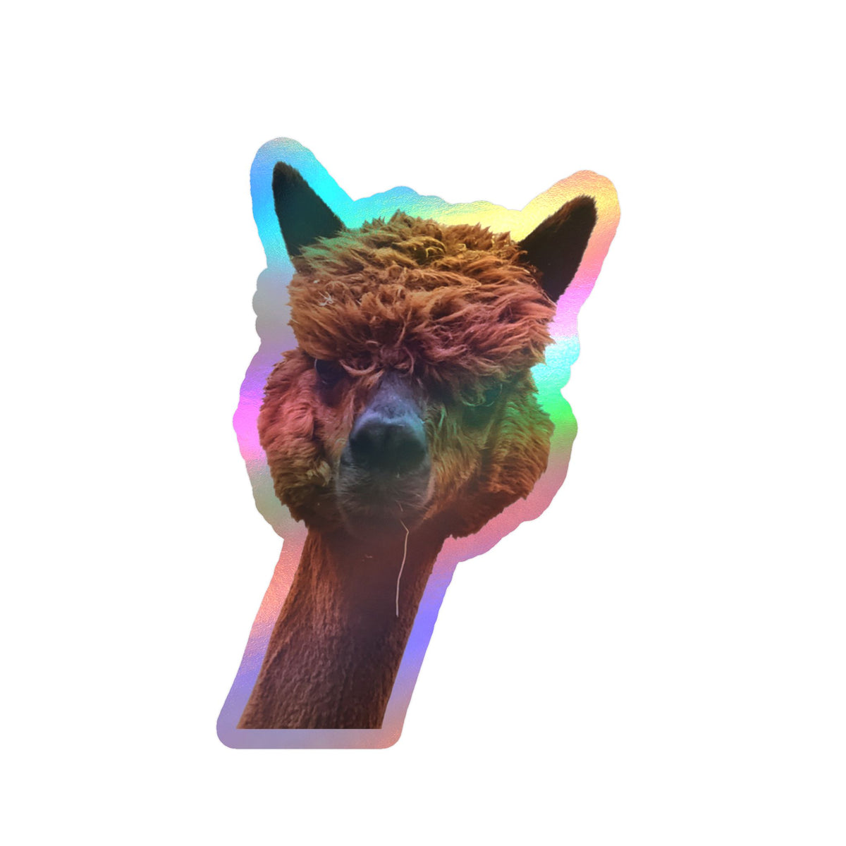 Alpaca Head Kiss-Cut Vinyl Sticker — Cute Funny Llama Decal for Laptop, Water Bottle & Car