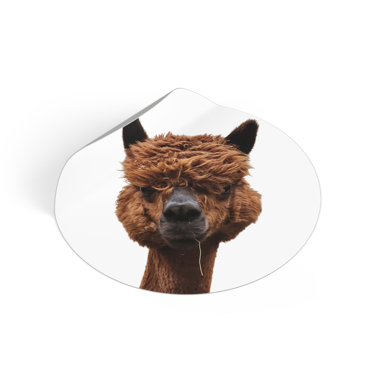 Brown Alpaca Face Round Vinyl Sticker – Cute Llama/Alpaca Decal for Laptops, Water Bottles, Journals